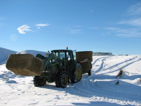 IMG_0280_(480_x_360)Tractor_in_snow.jpg