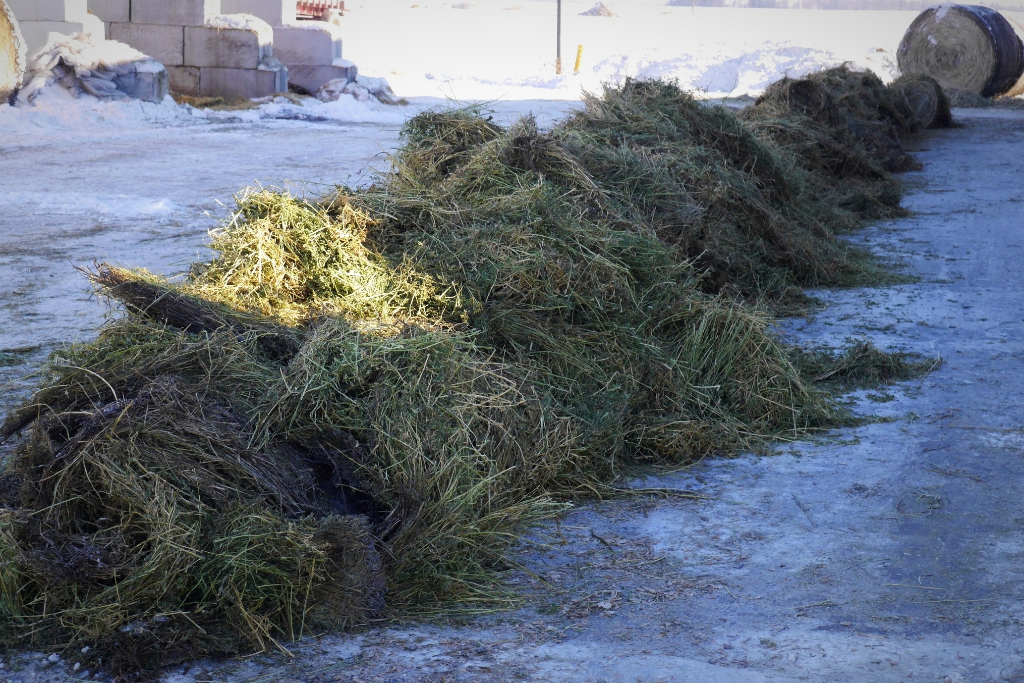 hustler balefeeder finished product at a mark czeck demo in minnesota -833004-edited.jpg
