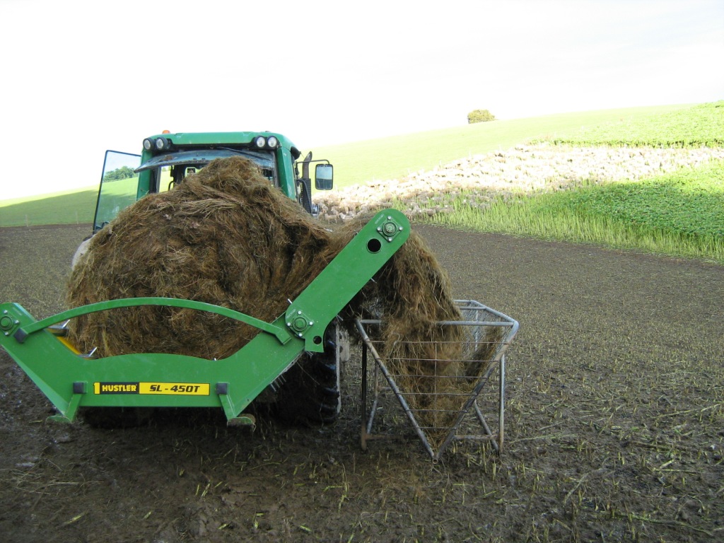 the sl450x trough feeder easily feeds into these hay baskets.jpg