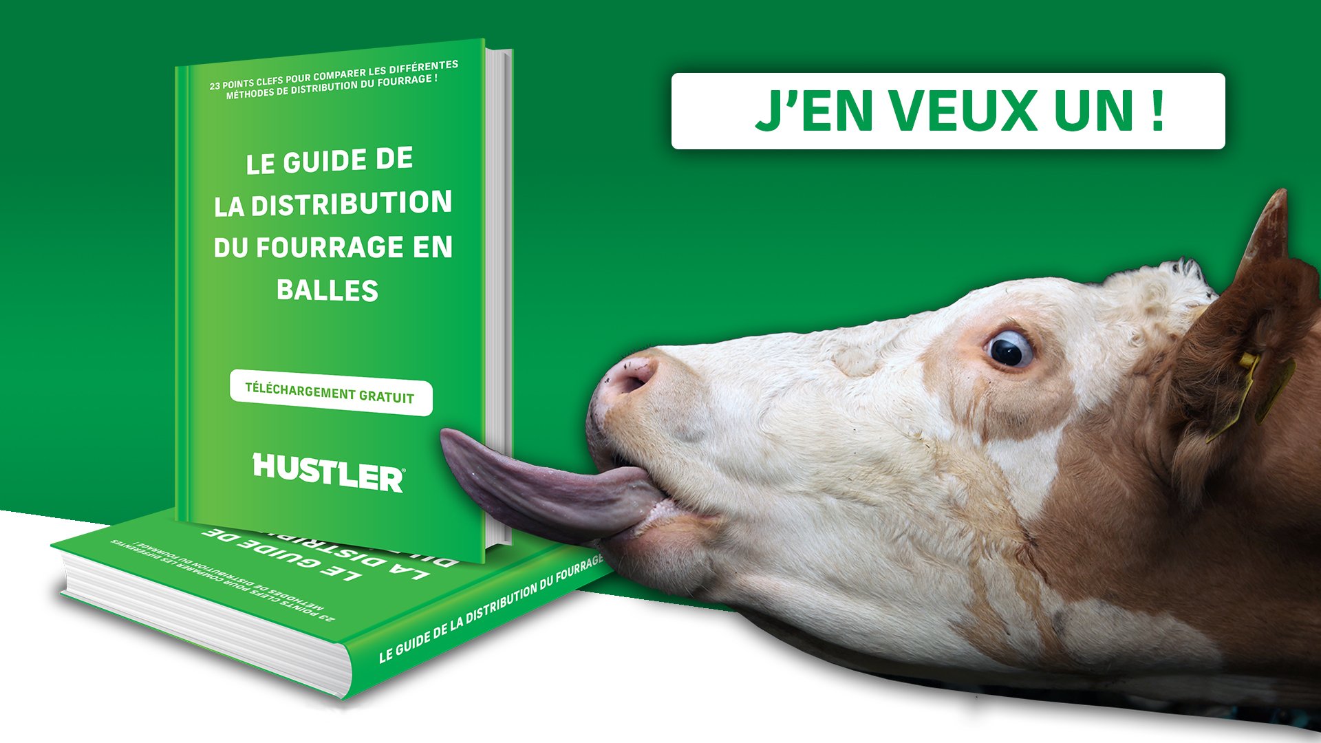 FR - CTA Cattle feeding guide 2020 (cow version)