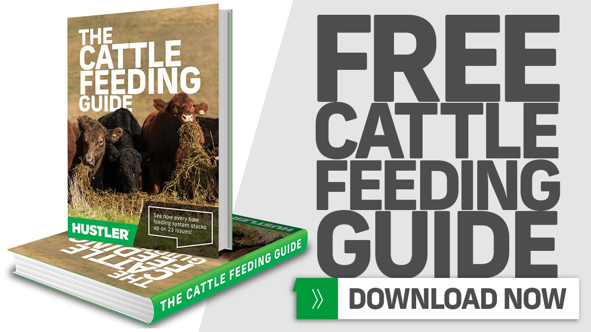 Download Your FREE Cattle Feeding Guide